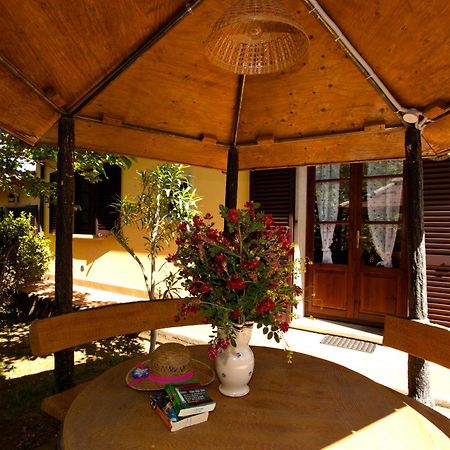 Agriturismo I Cerroni 蒙泰斯库达伊奥 外观 照片