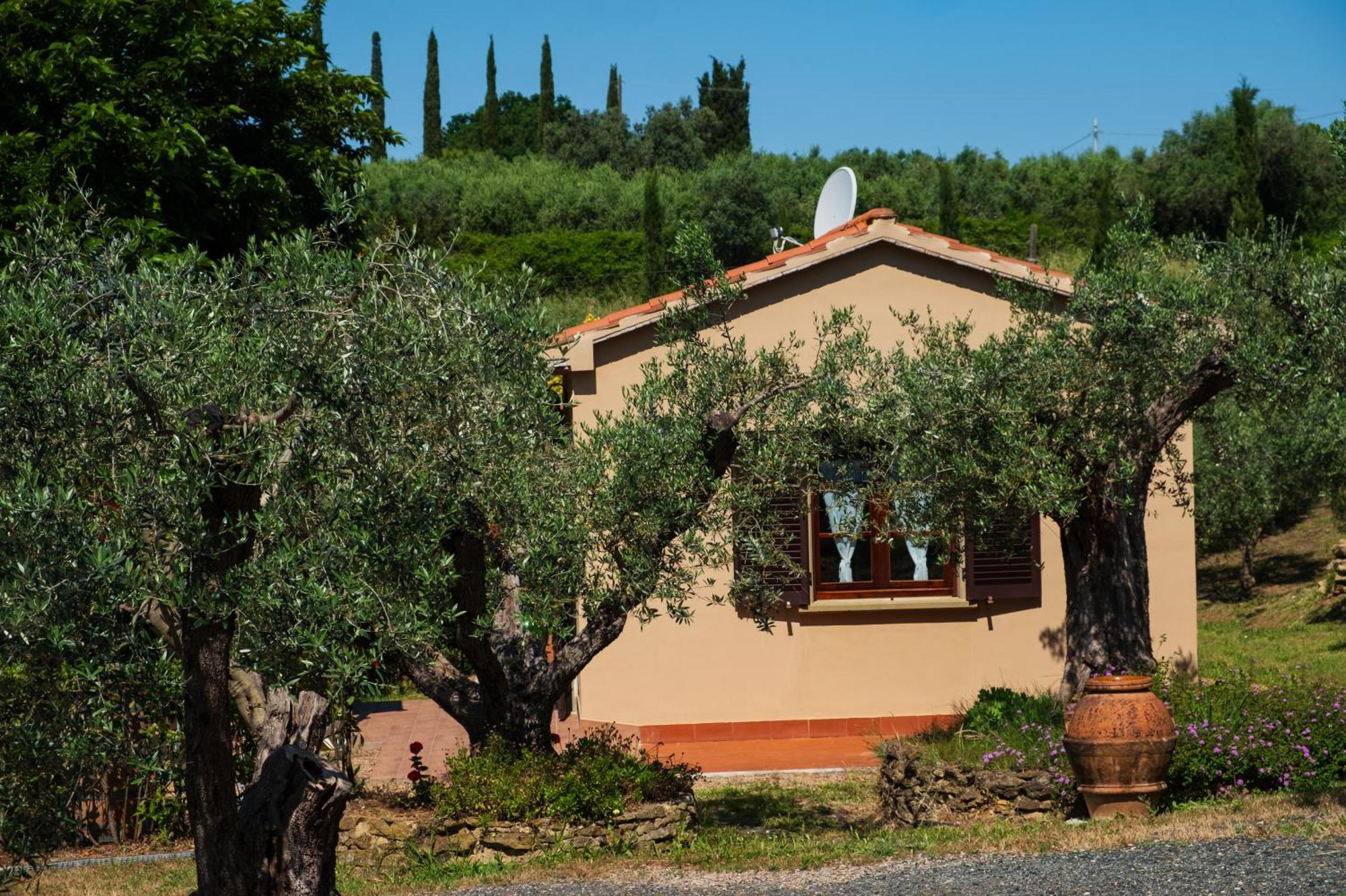 Agriturismo I Cerroni 蒙泰斯库达伊奥 外观 照片