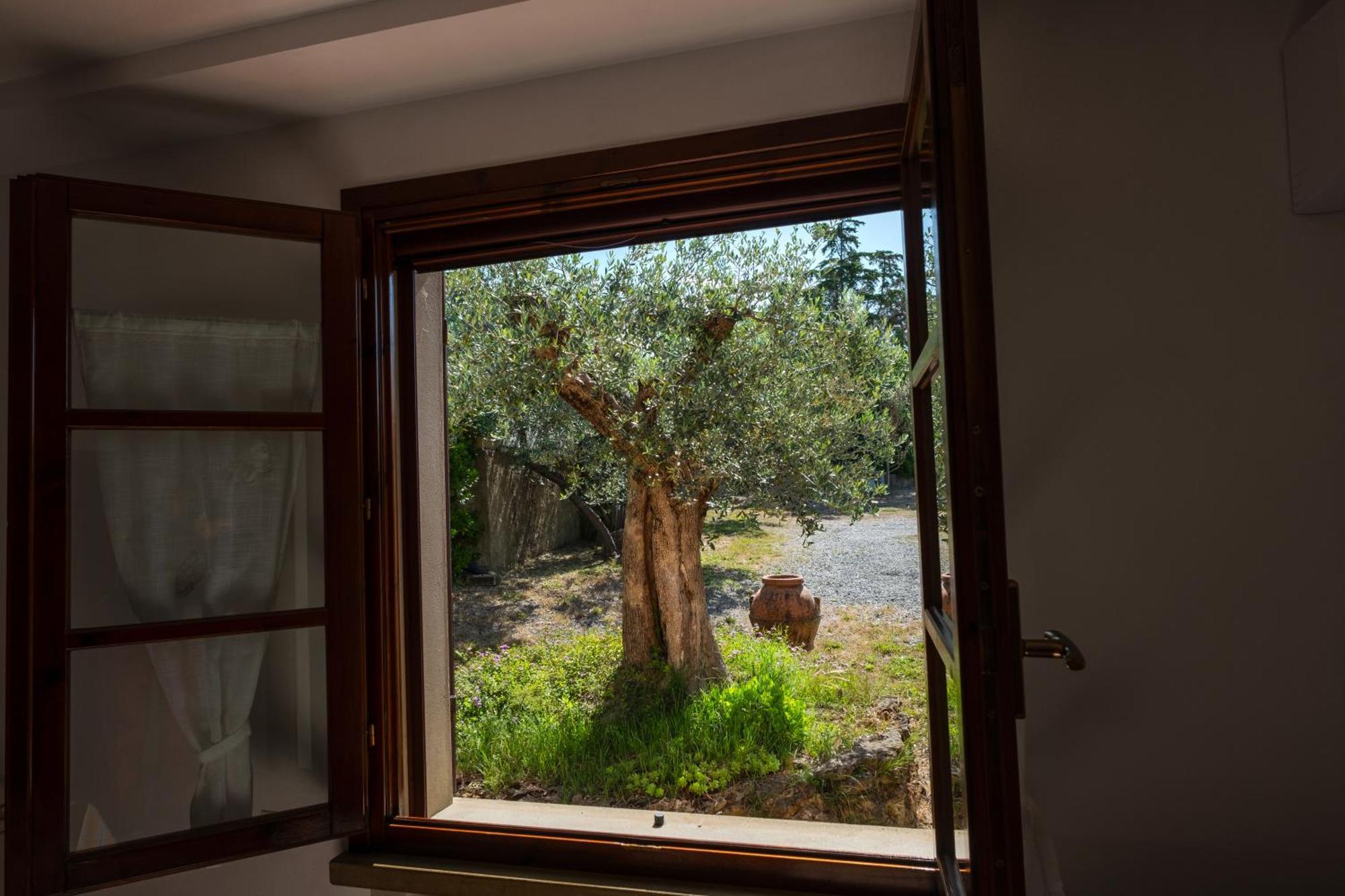 Agriturismo I Cerroni 蒙泰斯库达伊奥 外观 照片
